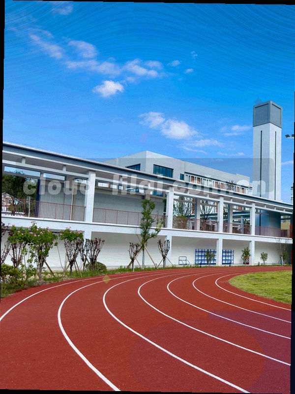 手机上的利来体育赛事数据界面示意